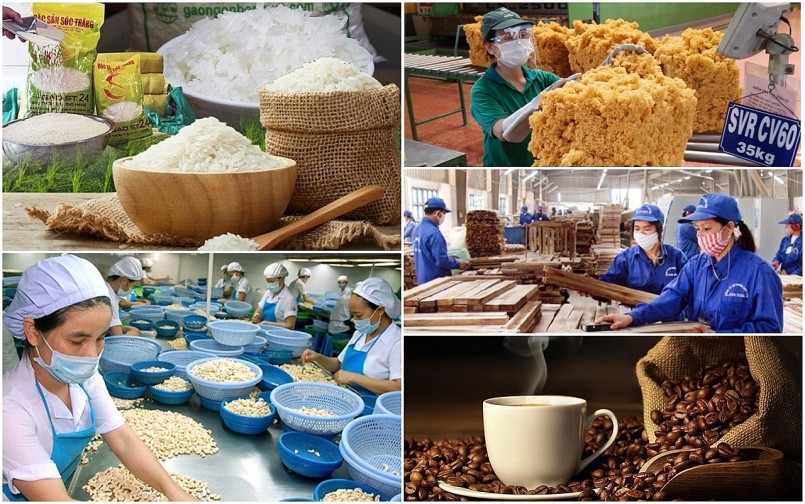 Ngành nông nghiệp xuất siêu hơn 66 tỷ USD