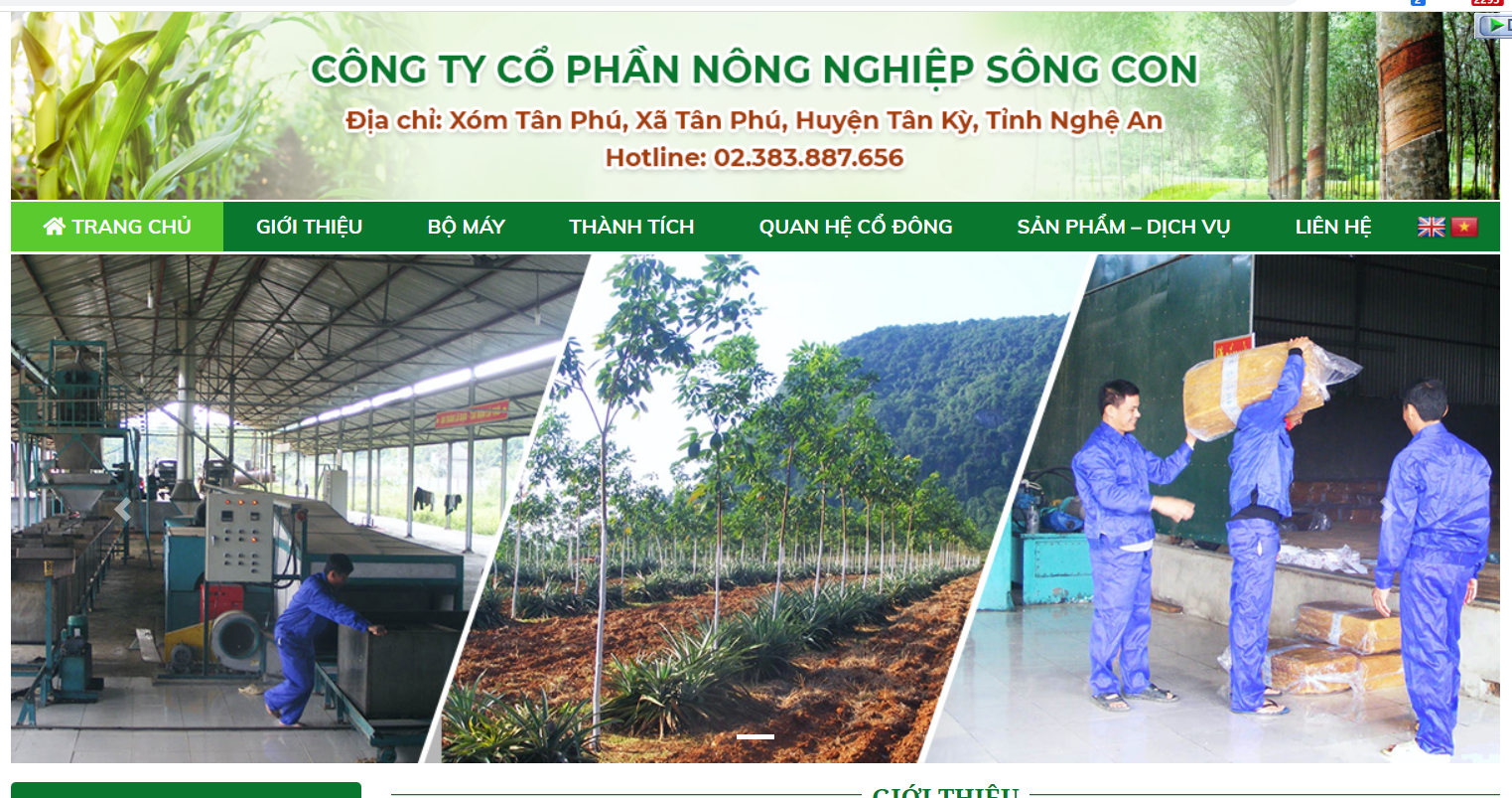 Vi phạm công bố thông tin SCA bị phạt 100 triệu đồng