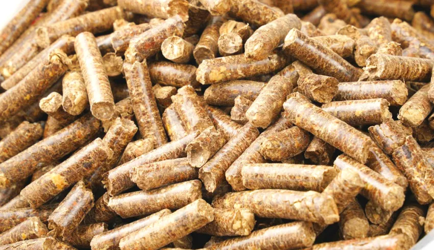 VCCI đề xuất đưa thuế xuất khẩu viên gỗ nén và viên than gỗ về 0%