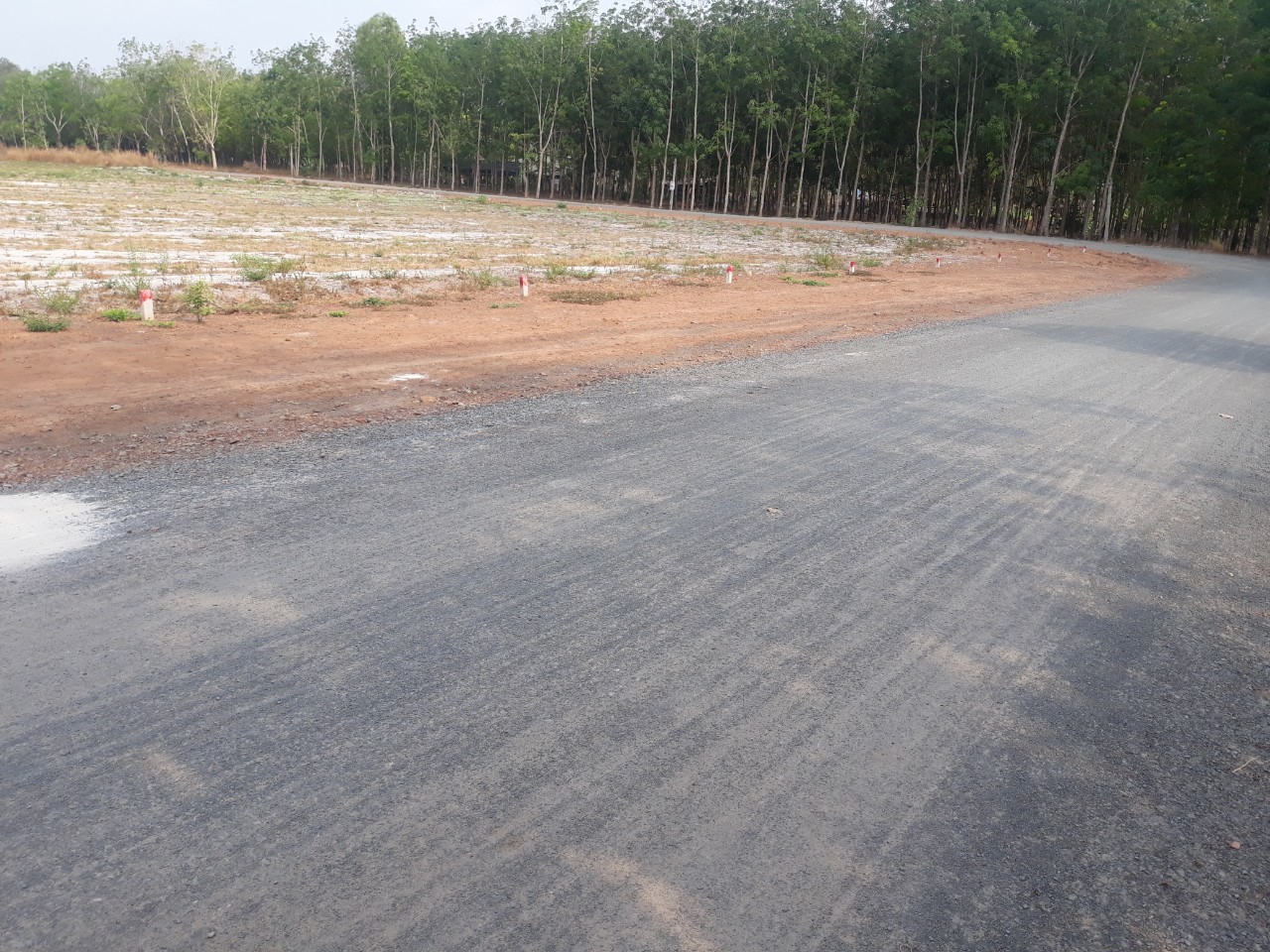 Kỷ luật cảnh cáo Phó giám đốc Sở Xây dựng Bình Phước