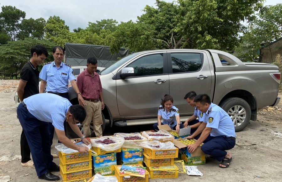 Phát hiện, xử lý 2 tấn trái cây không rõ nguồn gốc xuất xứ tại Thái Nguyên