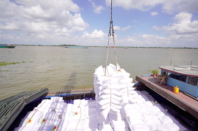 Xuất khẩu gạo Việt Nam sáng cửa vượt kế hoạch năm 2022