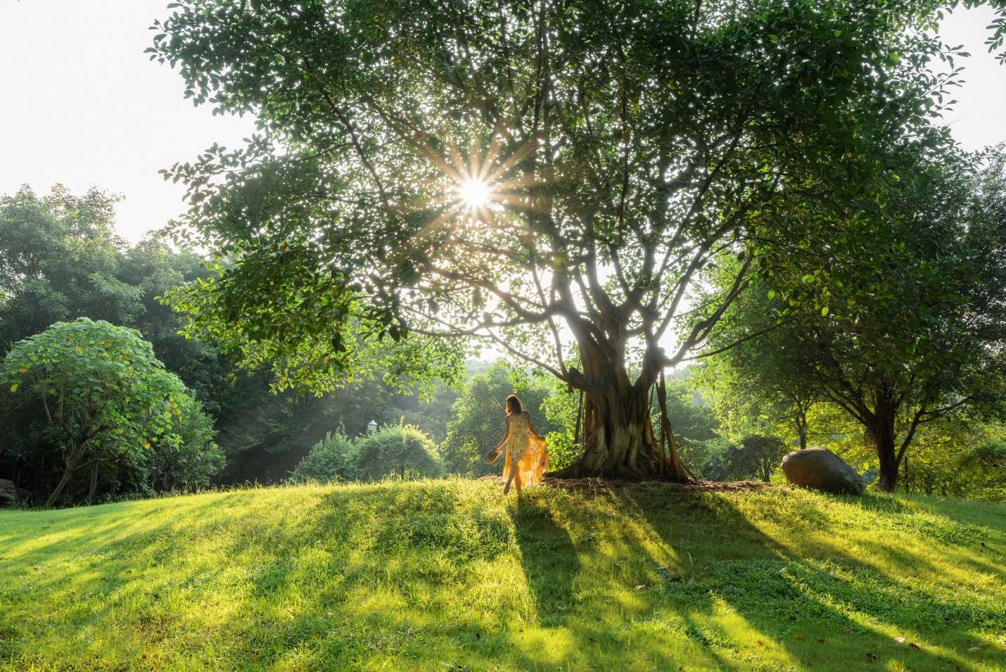 Bí mật của những người được thiên nhiên “chữa lành”