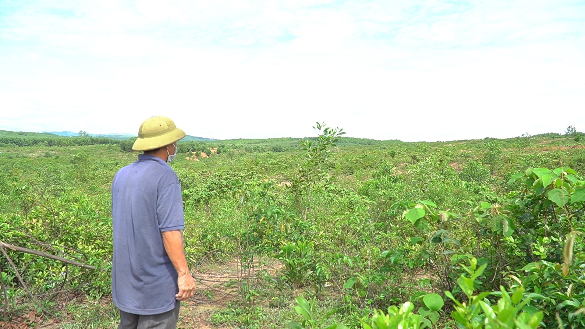Thu hồi dự án nông nghiệp công nghệ cao của Tập đoàn FLC tại Quảng Trị