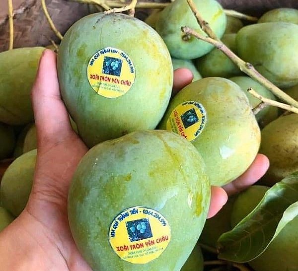 Nhiều đặc sản vùng, miền đã vào hệ thống phân phối, xuất khẩu