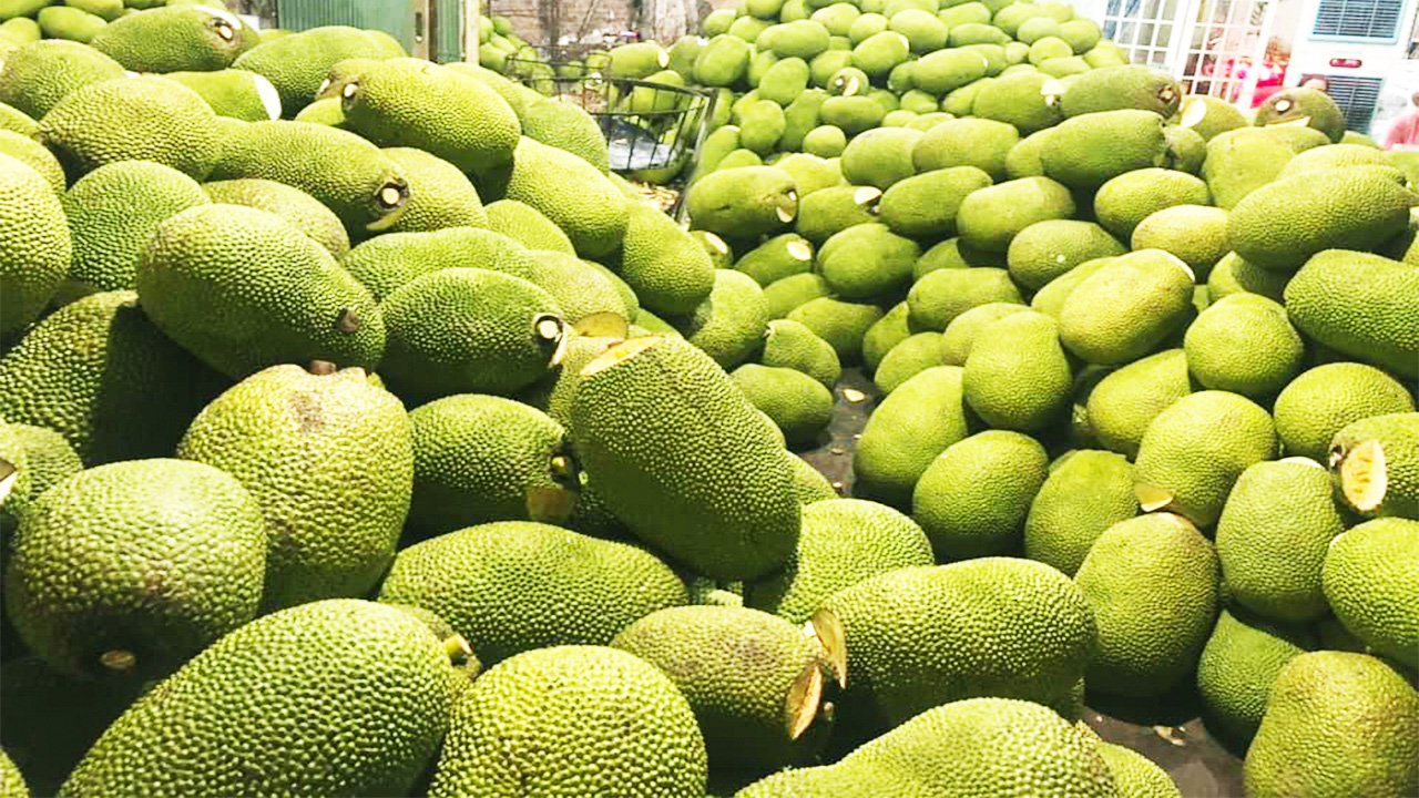 Nhu cầu thị trường Trung Quốc đi xuống, giá mít Thái giảm 50%