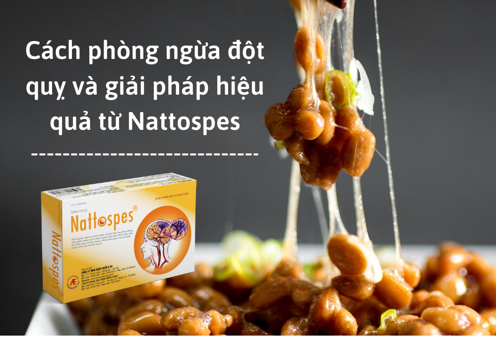 Cách phòng ngừa đột quỵ và giải pháp hiệu quả từ Nattospes