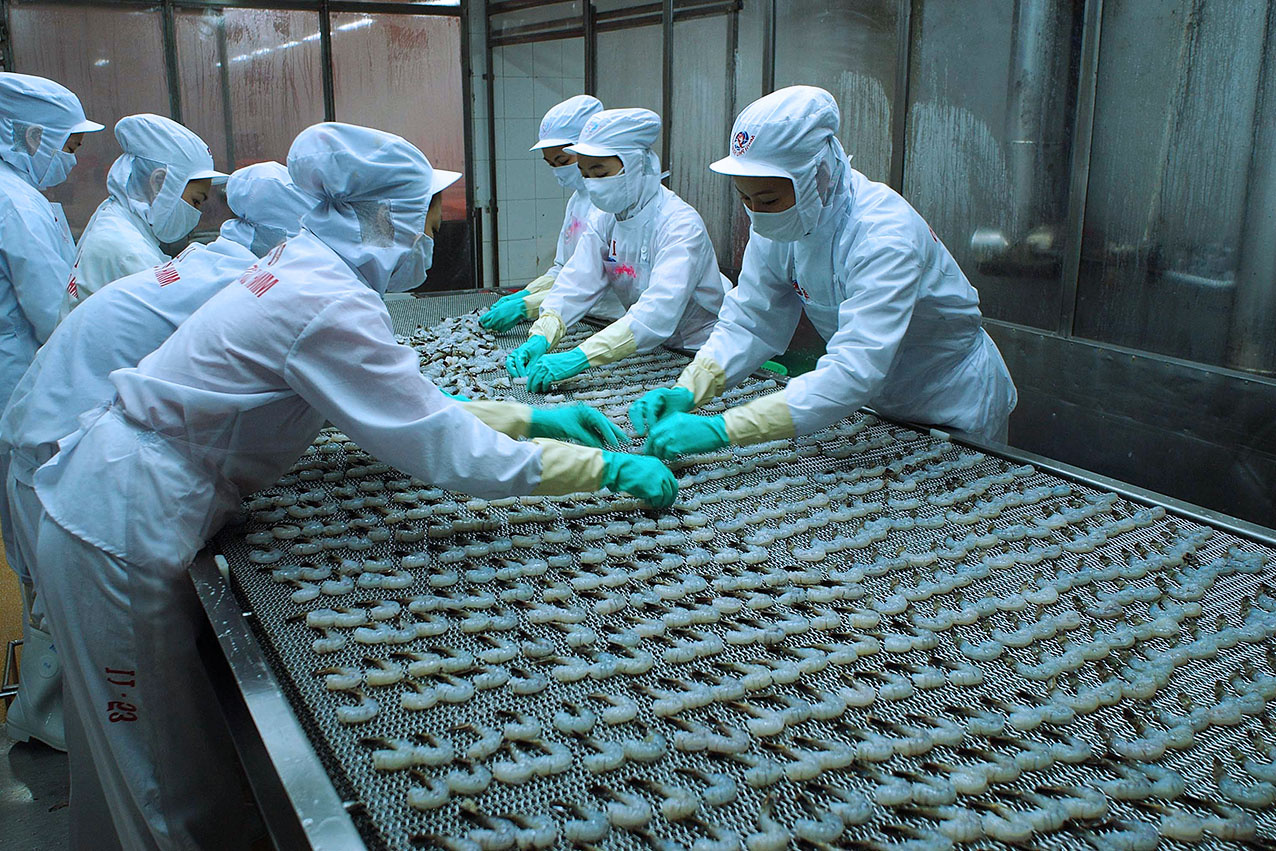 Xuất khẩu tôm tăng mạnh tại châu Á, giảm tại các thị trường Mỹ và EU