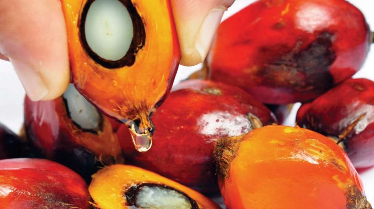 Thị trường hàng hóa tuần qua Lực bán tiếp tục gia tăng trên thị trường hàng hoá