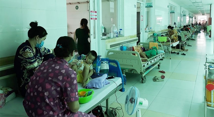 Ngành y tế Cần Thơ cảnh báo dịch sốt xuất huyết bùng phát vào các tháng cuối năm