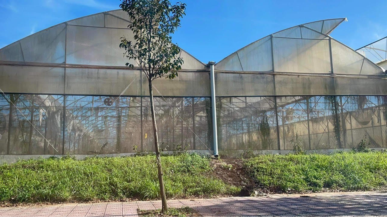 Khởi tố, bắt tạm giam nguyên Phó Giám đốc Sở Khoa học và Công nghệ Đồng Nai 