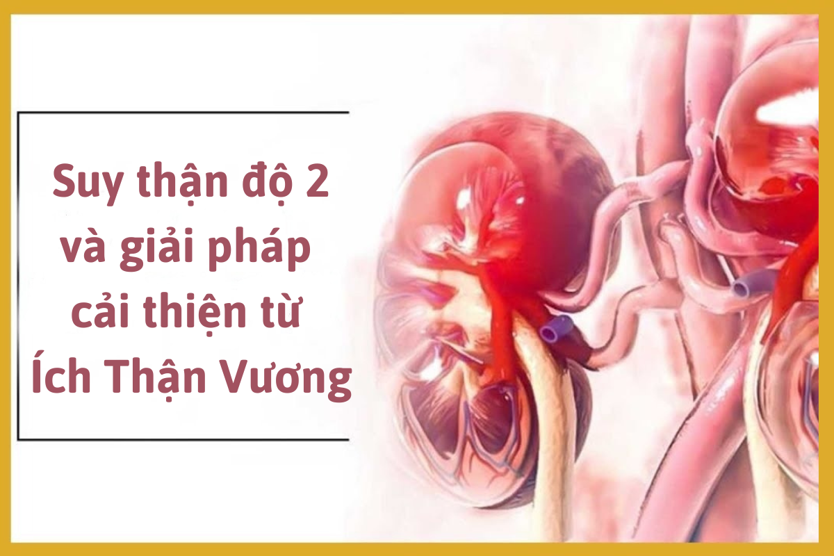 Suy thận độ 2 và giải pháp cải thiện từ Ích Thận Vương