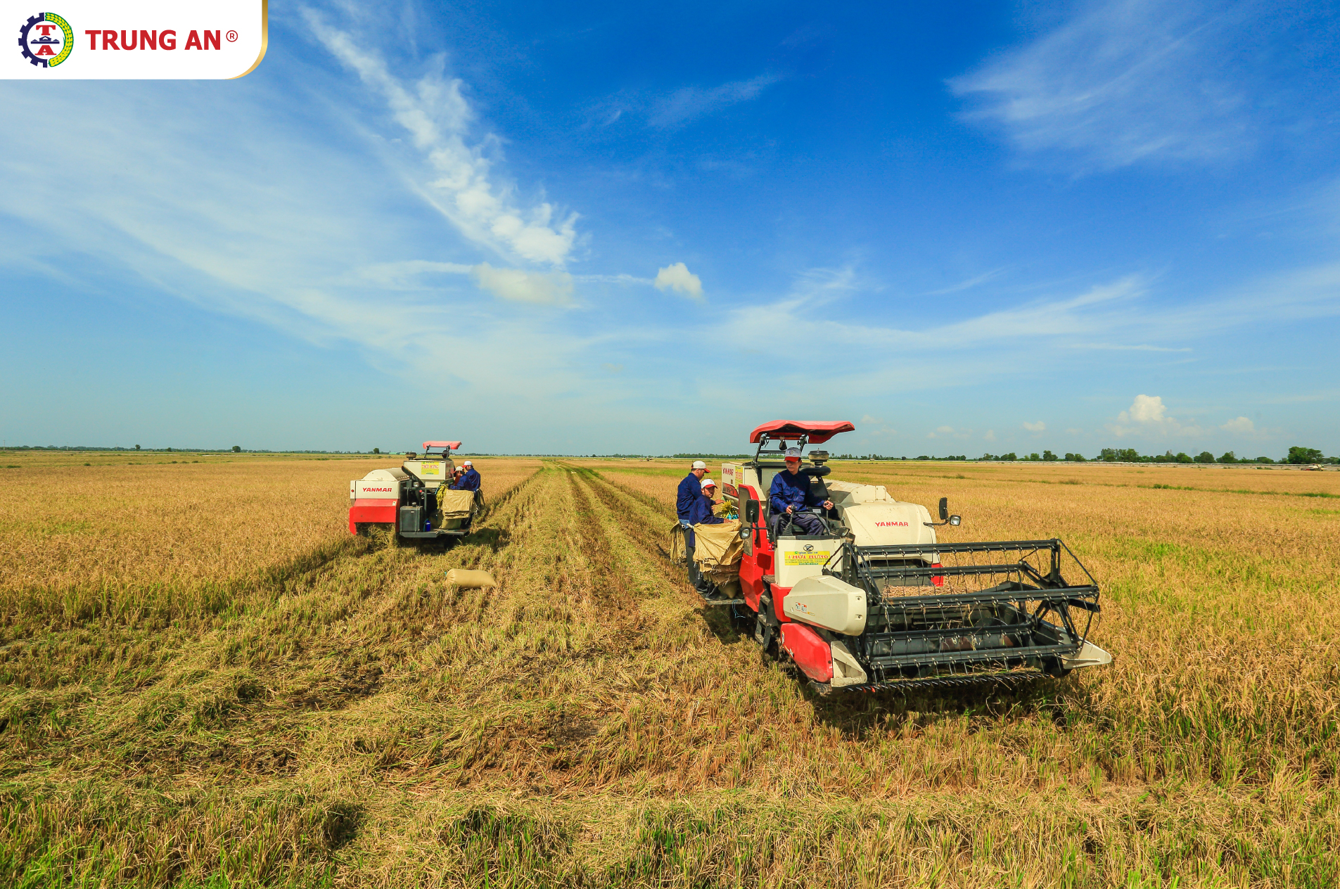 Lợi nhuận ròng của TAR lao dốc 98% trong quý 3