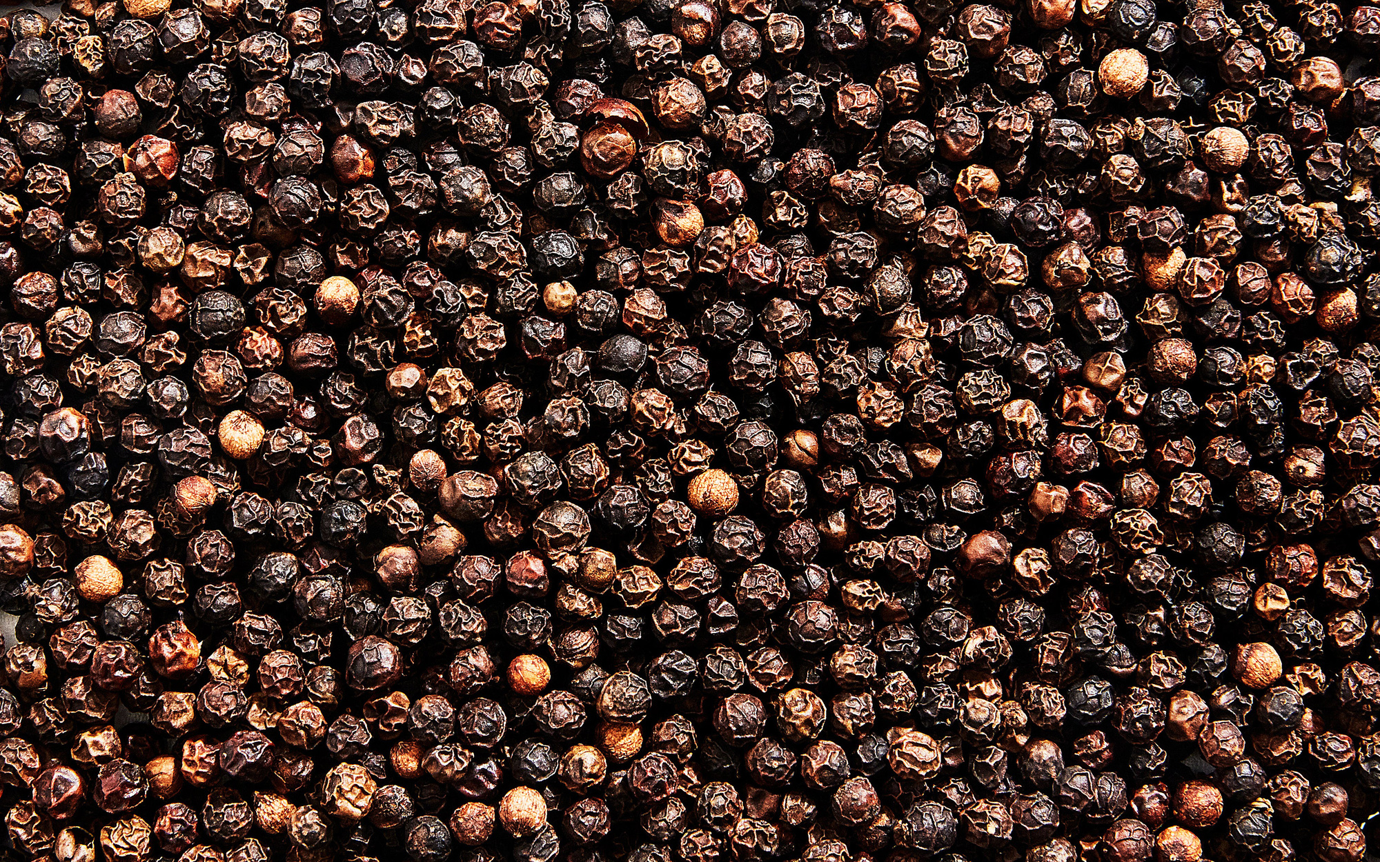 Giá tiêu hôm nay 211 Dao động quanh mốc 56.000 – 59.000 đồngkg