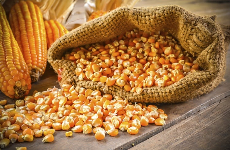 Thị trường hàng hóa 811 Xu hướng giảm chiếm ưu thế