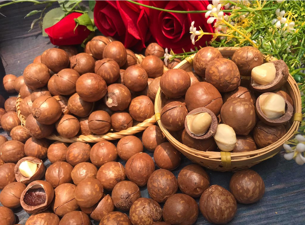 Xuất khẩu mắc ca chính ngạch sang Nhật Bản