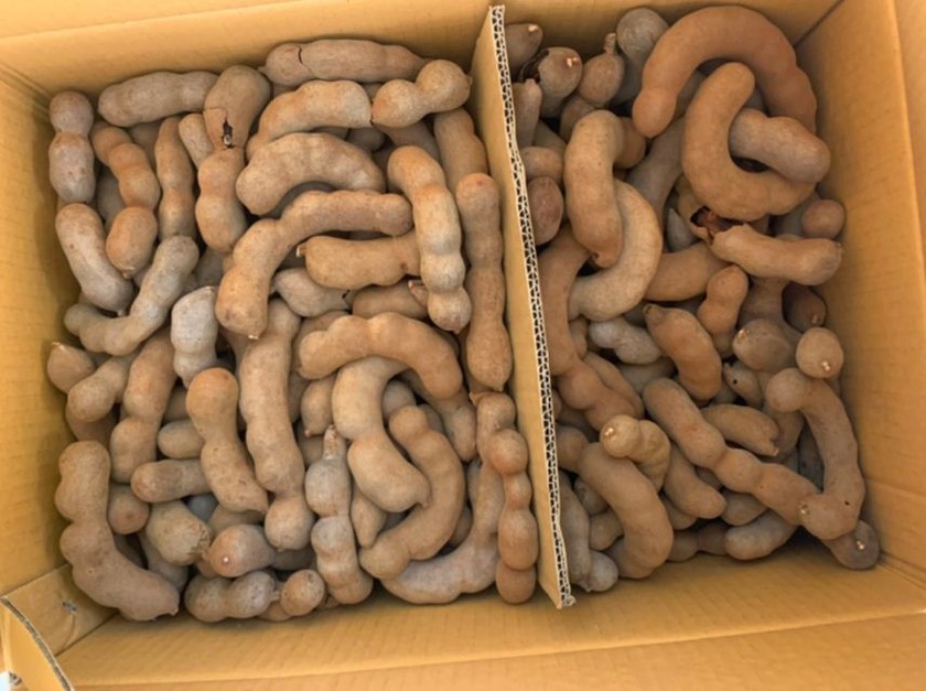 Long An Phát hiện 1.100 kg me sấy khô không rõ nguồn gốc xuất xứ