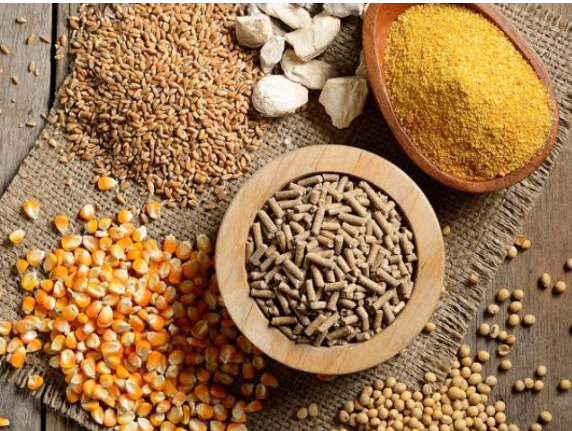 Việt Nam chi 8,1 tỷ USD cho nhập khẩu thức ăn chăn nuôi và nguyên liệu