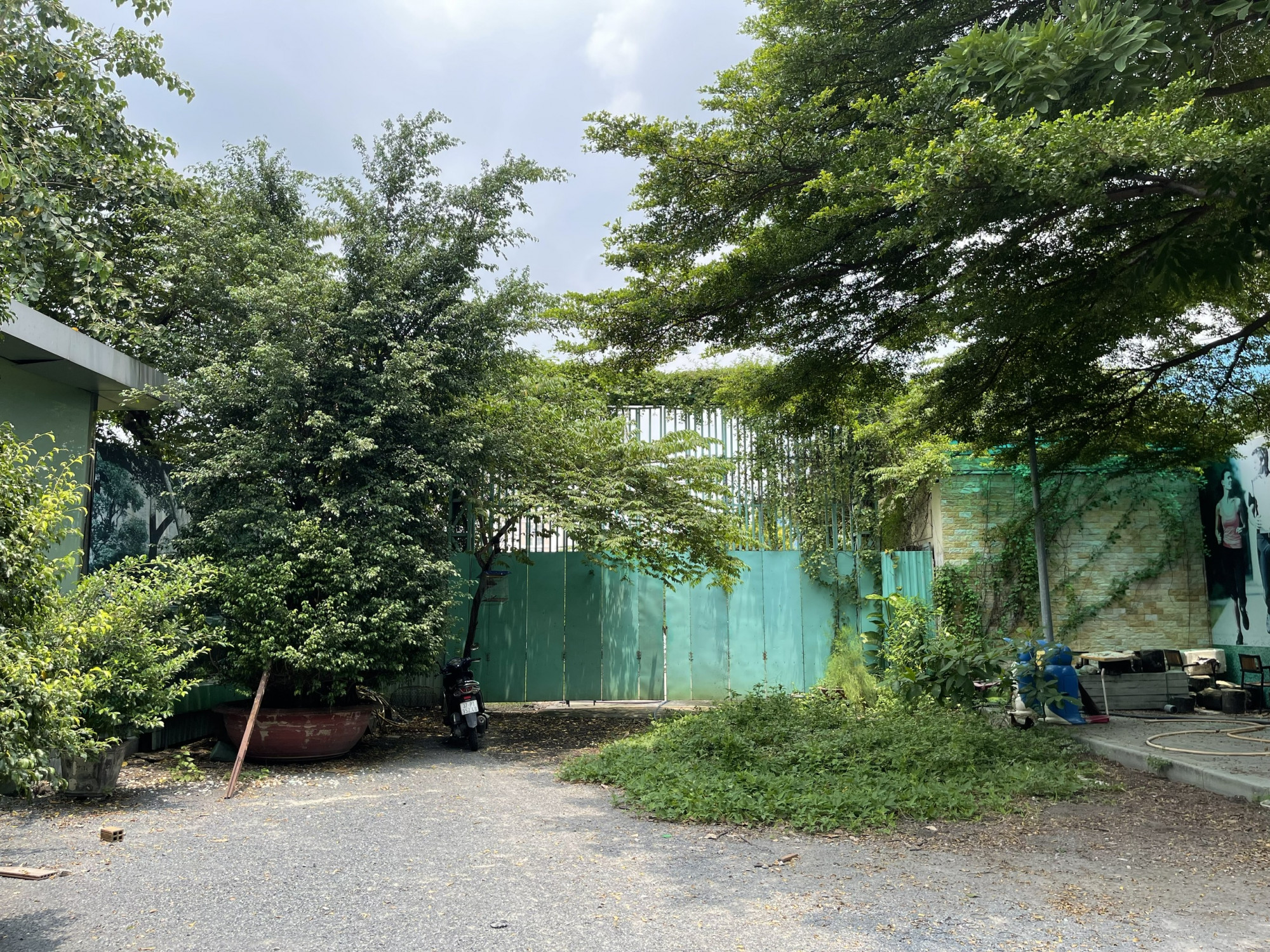 TP.HCM Dự án Tecco Đầm Sen hiện vẫn là bãi đất trống và chưa đủ điều kiện bán