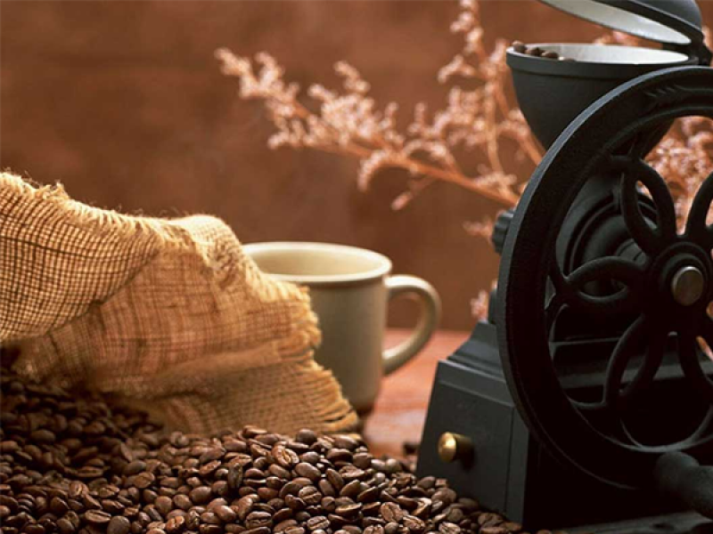 Ông Đặng Hồng Tuấn giữ chức Tổng giám đốc Vinacafe