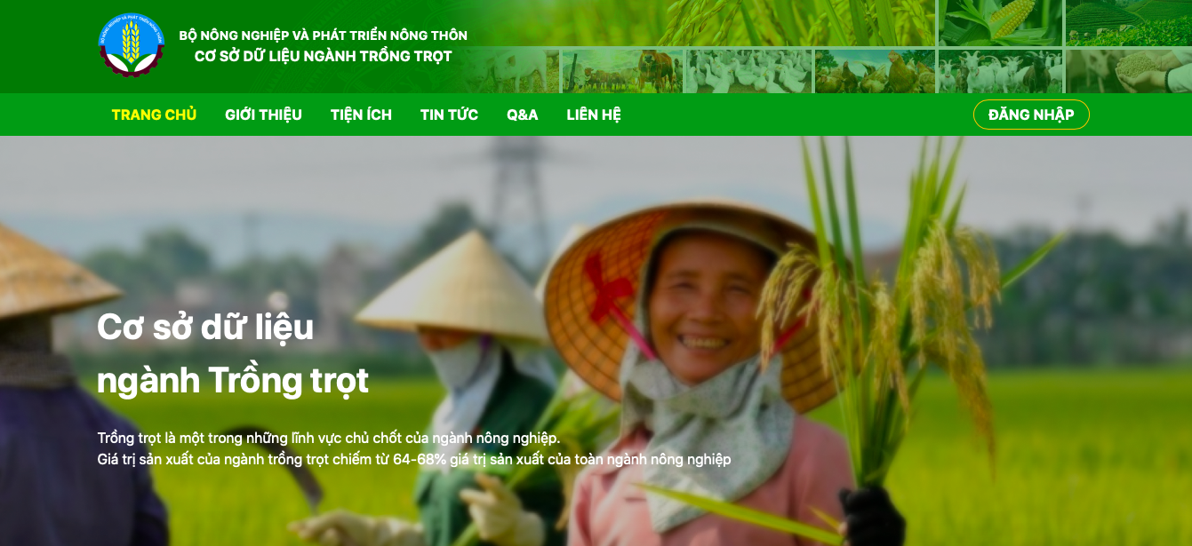 Long An tăng cường cấp, quản lý mã số vùng trồng cho nông sản