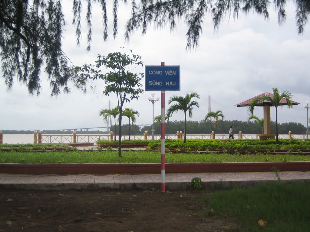 Thanh tra TP. Cần Thơ đề nghị kiểm tra chứng chỉ năng lực của 2 doanh nghiệp liên quan dự án sai phạm 