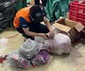 Thu giữ 12kg pháo nổ trong kiện hàng chuyển phát nhanh 