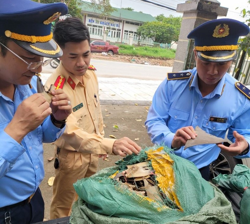 Quảng Ninh Phát hiện 30kg vây cá mập sấy khô không rõ nguồn gốc