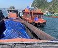 Phát hiện tàu chở 60 tấn than không rõ nguồn gốc cùng nhiều vũ khí tự chế tại Quảng Ninh 
