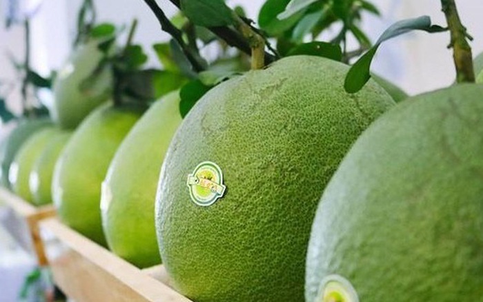 Lễ công bố lô bưởi đầu tiên của Việt Nam vào thị trường Mỹ