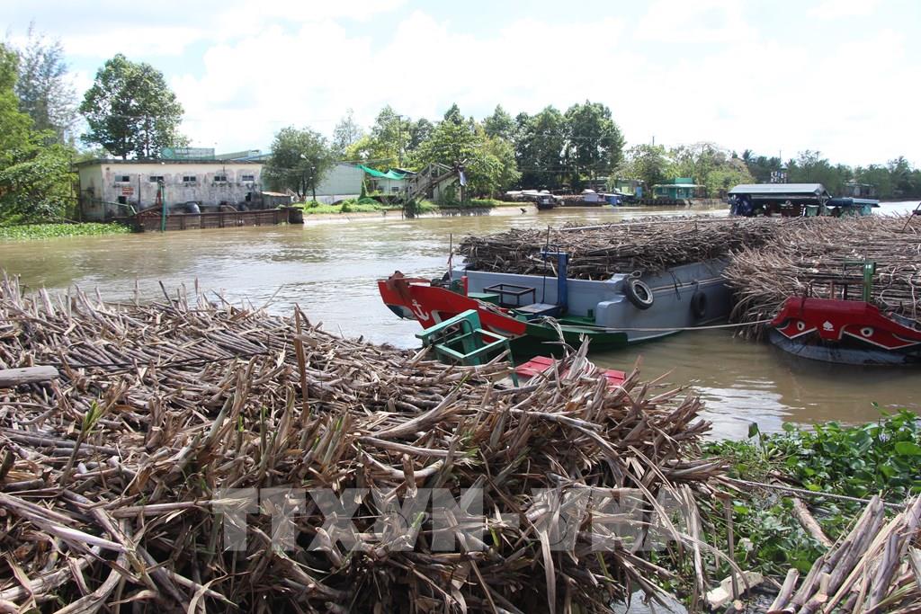 Nhà máy đường chậm thu mua, hàng trăm ghe mía mỏi mòn nằm chờ