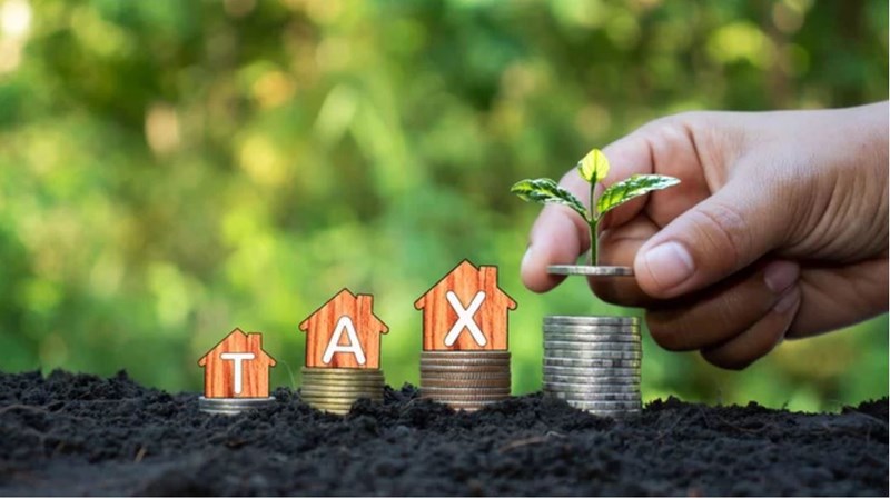 Điều kiện được hoàn thuế bảo vệ môi trường đối với đóng gói sản phẩm xuất khẩu