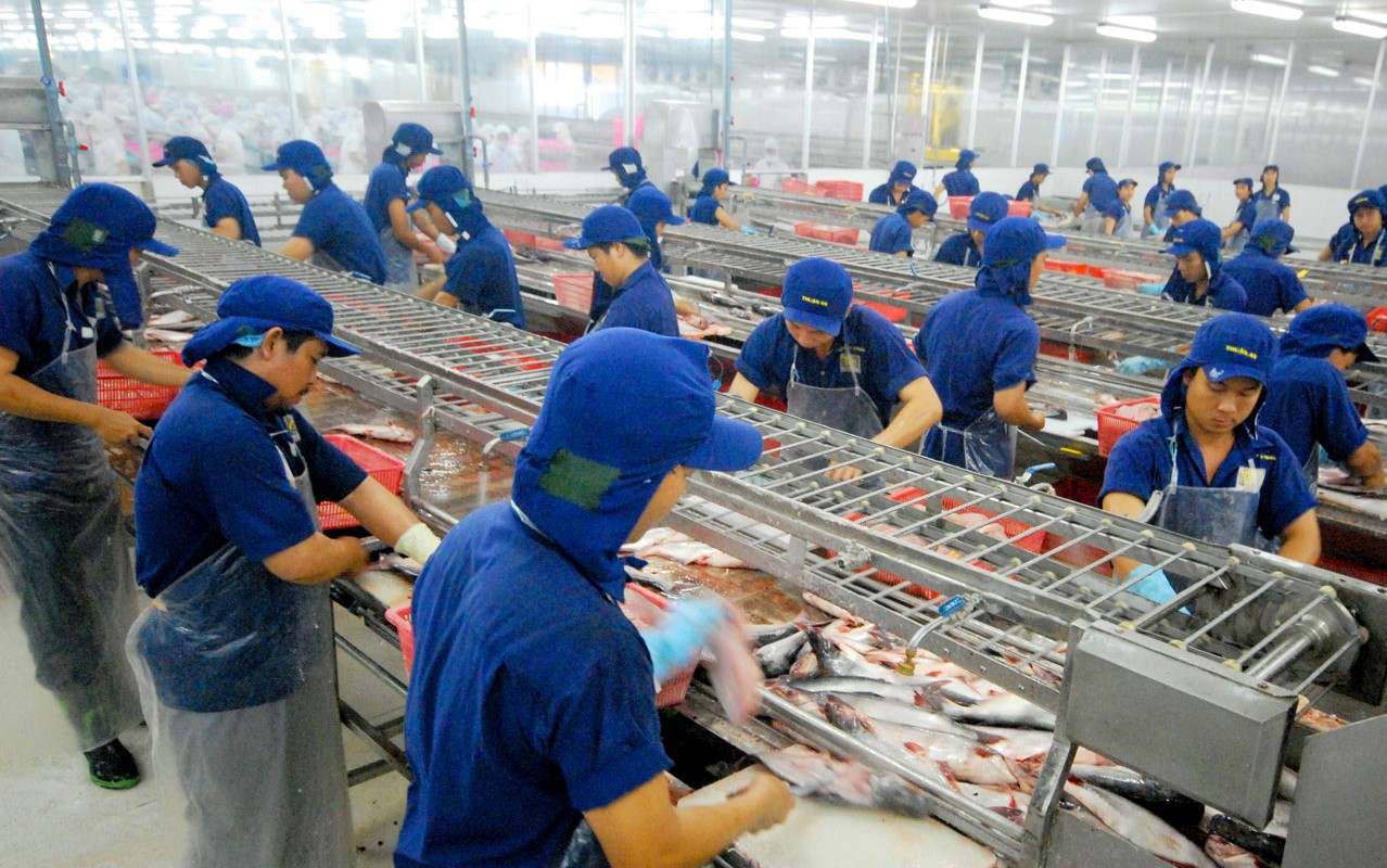 Tăng trưởng xuất khẩu cá tra chững lại nhưng sẽ cán đích 2,4 tỷ USD