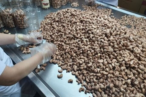 Bình Phước Khởi tố vụ buôn lậu hạt điều số lượng lớn tại Công ty Phúc An