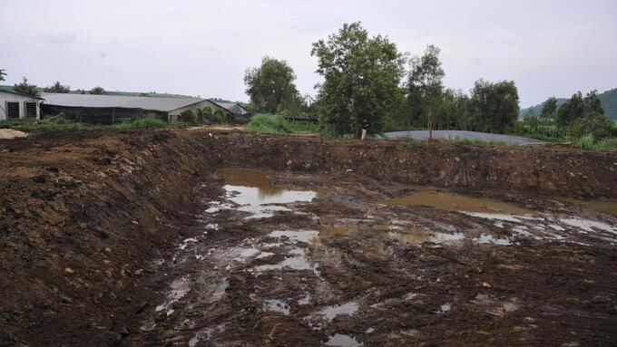 Xử phạt hơn 3,1 tỷ đồng đối với 32 cơ sở chăn nuôi tại Đồng Nai