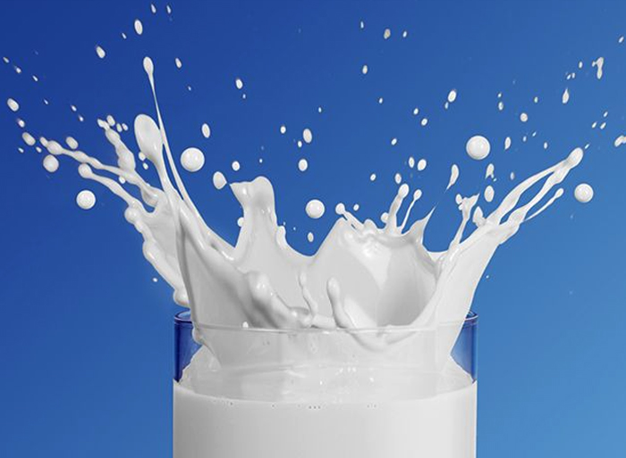 Sữa tổng hợp có thể là ‘cú sốc’ với ngành công nghiệp sữa truyền thống