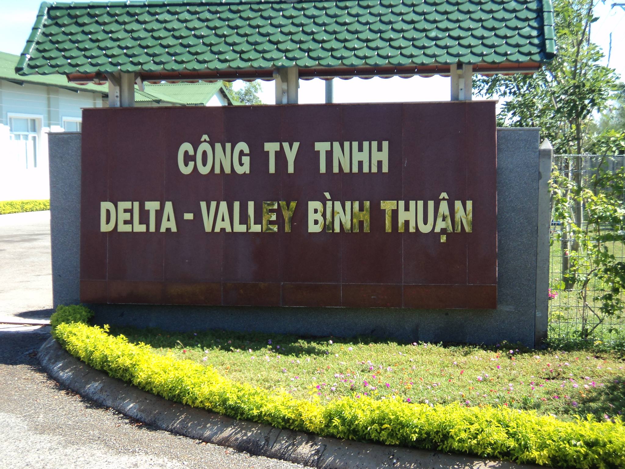 Công ty Delta-Valley Bình Thuận chưa ký hợp đồng thuê và nộp thuế gần 249ha đất từ năm 2011