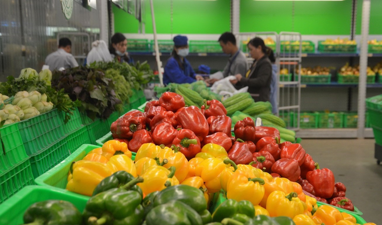 Xuất khẩu rau quả 11 tháng 2022 ước đạt 3,1 tỷ USD