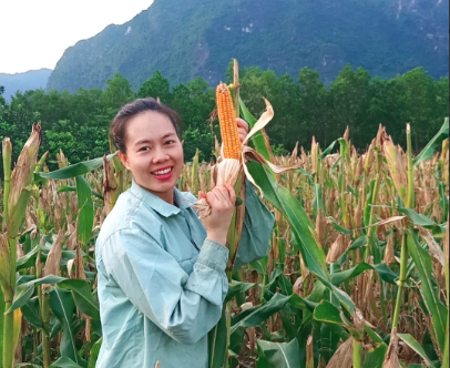 Cô gái Nùng dũng cảm từ bỏ ánh hào quang khởi nghiệp với cây ngô