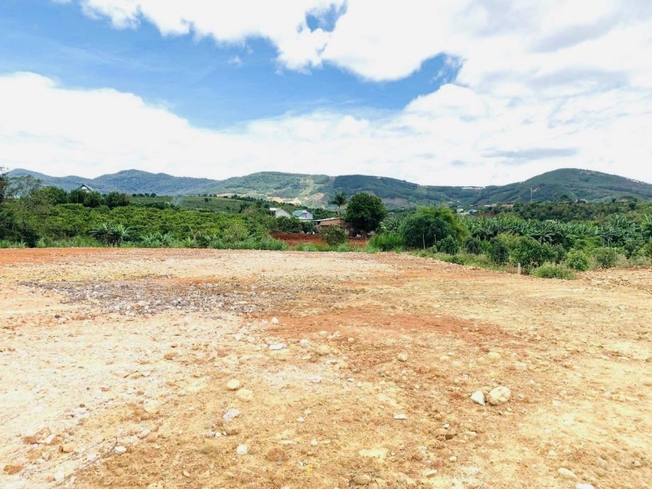 Thu hồi dự án ĐTXD kho bãi và lưu giữ hàng hoá của Công ty TNHH Quốc Việt