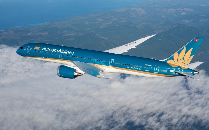 Cước vận chuyển cành đào, mai dịp Tết bằng đường hàng không bao nhiêu