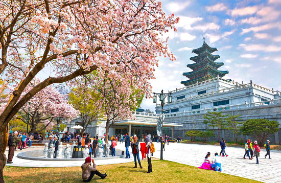 Vụ 100 du khách mất liên lạc tại Hàn Quốc Bốn công ty du lịch bị đề nghị tước giấy phép