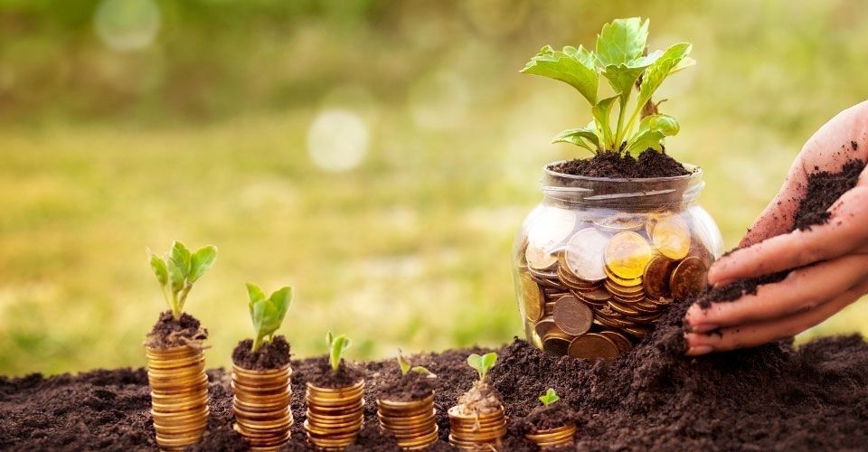 22 doanh nghiệp trả cổ tức bằng tiền từ 1912 - 2312