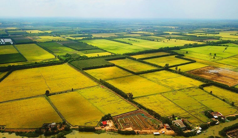 Hạn mức nhận chuyển quyền sử dụng đất nông nghiệp được tính như thế nào