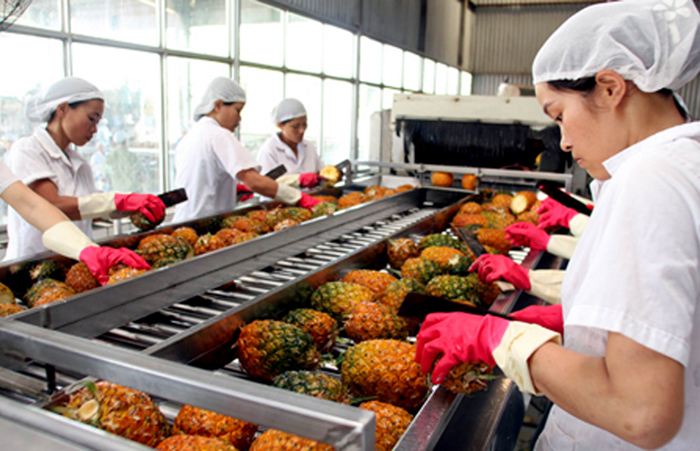 Năm 2023 sẽ là năm bùng nổ của ngành rau quả