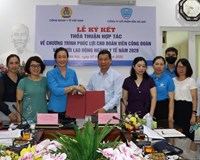 Công ty Sữa Hà Lan bị khởi tố vì sữa ‘rởm’ Bài 2 ‘Độc chiêu’ bán sữa thông qua các Liên đoàn Lao động 
