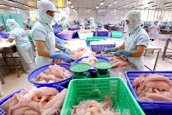 Rào cản gia tăng, doanh nghiệp xuất khẩu gặp khó với thị trường FTA