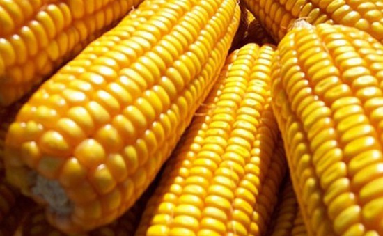 Thị trường hàng hóa 2212 Sắc xanh bao phủ trên bảng giá hàng hóa