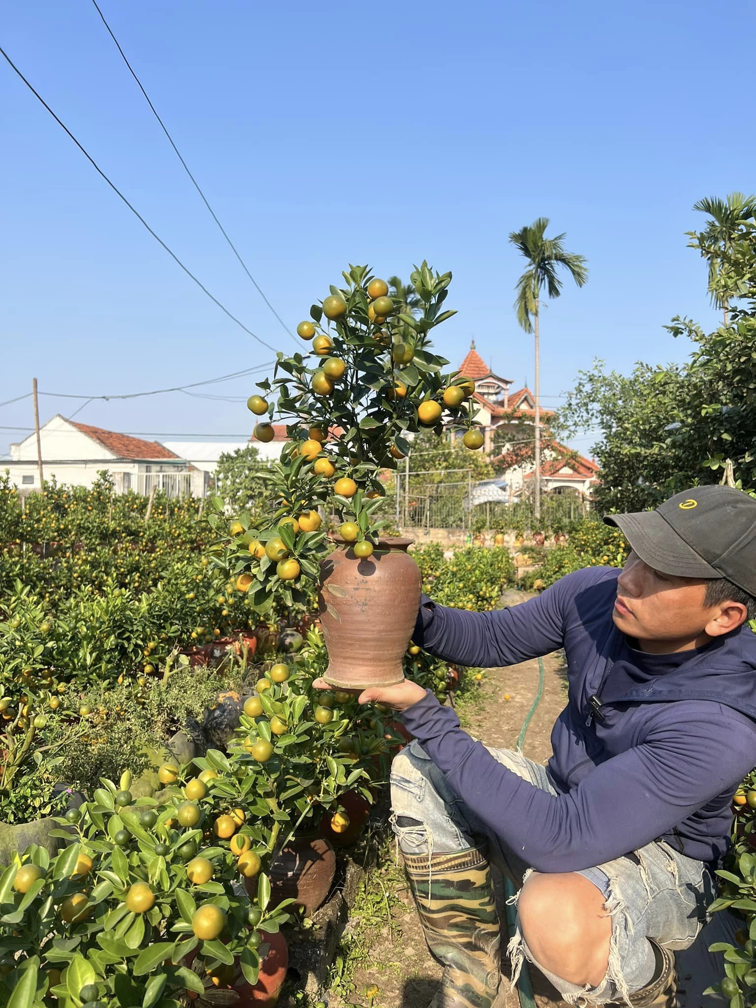 Những chiêu trò tinh vi làm cây cảnh giả để bán trong dịp Tết