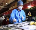 Trung Quốc bỏ quy trình xét nghiệm nghiêm ngặt đối với thủy sản nhập khẩu 